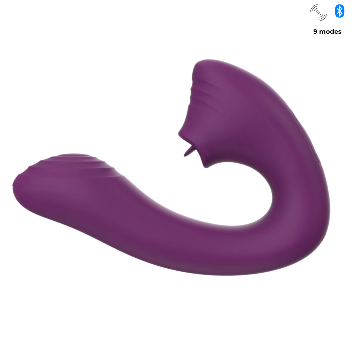  Dena dual vibrator in deep purple showing 9 vibration modes for versatile intimate pleasure by Fabulous Coco.